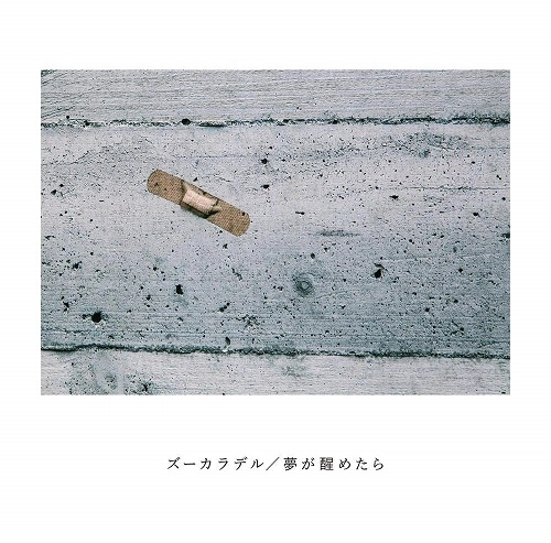 ZOOKARADERU / ズーカラデル / 夢が醒めたら