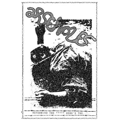 ARSEHOLES / DEMO (CASSETTE)