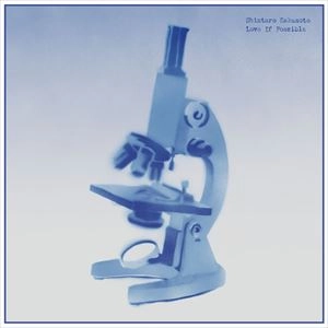 shintaro sakamoto / 坂本慎太郎 / LOVE IF POSSIBLE