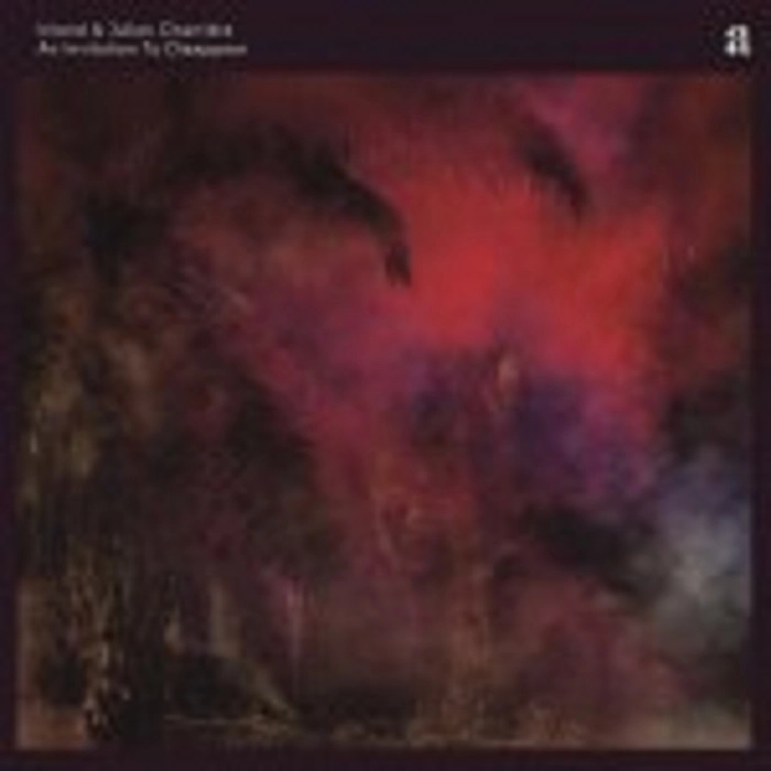 INLAND & JULIAN CHARRIERE / AN INVITATION TO DISAPPEAR