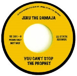 JERU THE DAMAJA / ジェルー・ザ・ダマジャ / YOU CAN'T STOP THE PROPHET