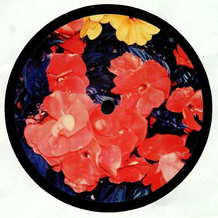DJ KUSH BOOGIE / HOME + LIVING