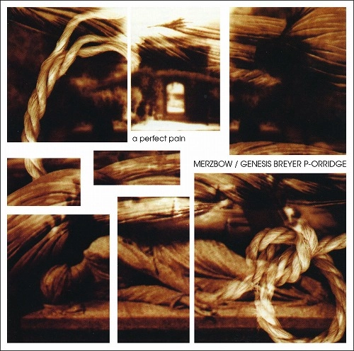 MERZBOW / GENESIS BREYER P-ORRIDGE / メルツバウ / ジェネシス・P・オリッジ / A PERFECT PAIN [CD]