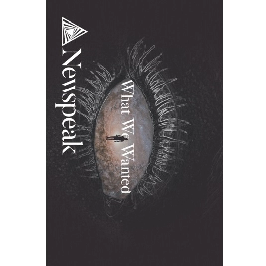 Newspeak / What We Wanted (Cassette Edition)