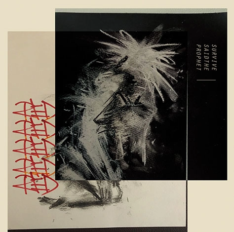 Survive Said The Prophet / RED(通常盤)