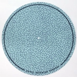 ADULT ORIENTED RECORDS / CAMOUFLAGE