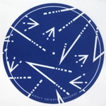 ADULT ORIENTED RECORDS / RIFLECTION