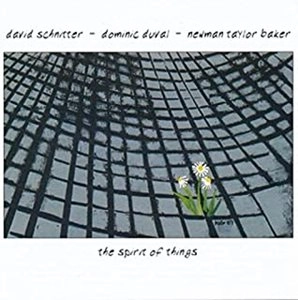 DAVID SCHNITTER / デヴィッド・シュニッター / THE SPIRIT OF THINGS / SPIRIT OF THINGS