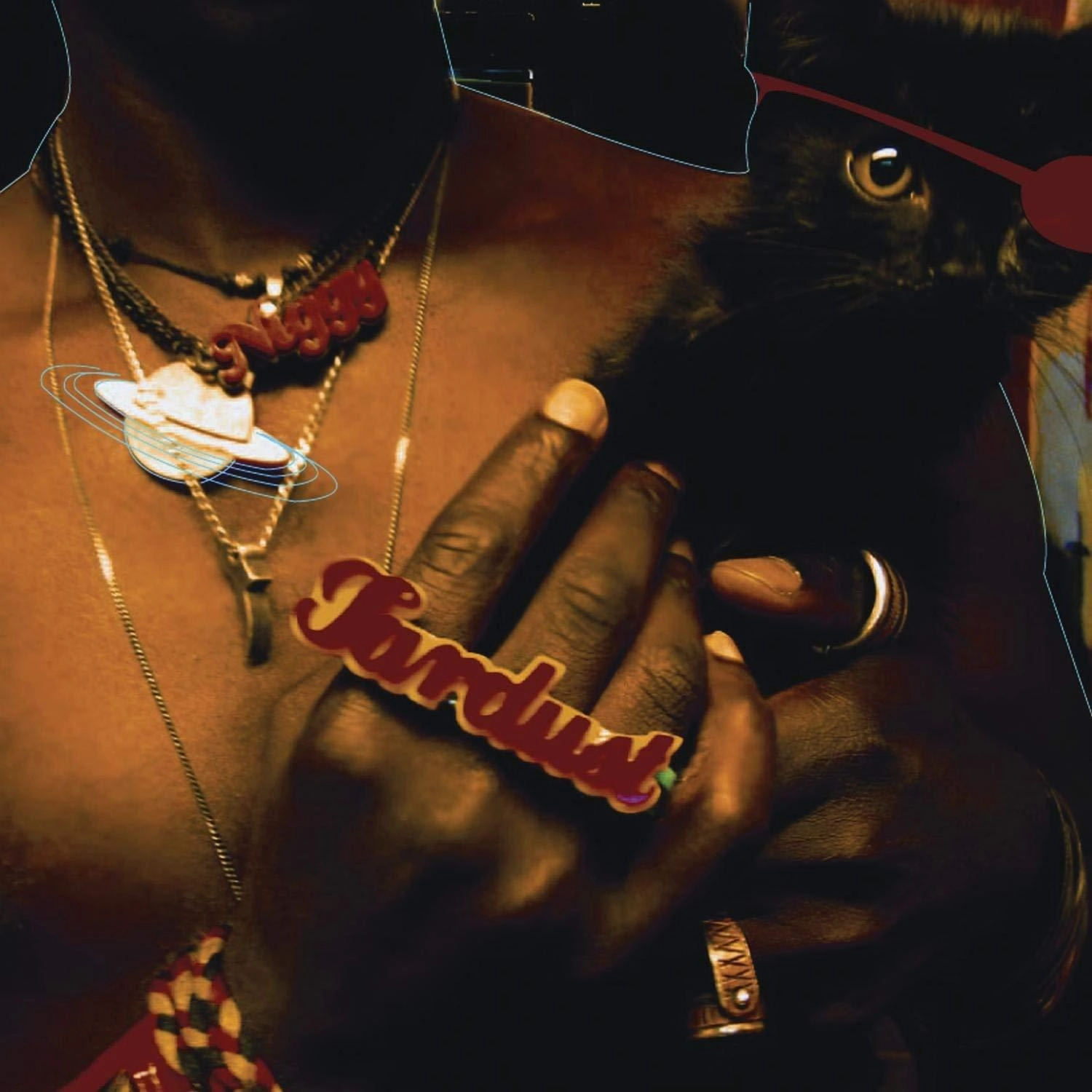 SAUL WILLIAMS / ソウル・ウィリアムズ / THE INEVITABLE RISE AND LIBERATION OF NIGGY TARDUST