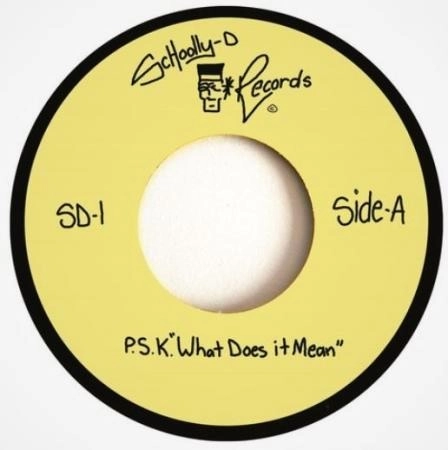 SCHOOLLY D / スクーリーD / P.S.K. "WHAT DOES IT MEAN"
