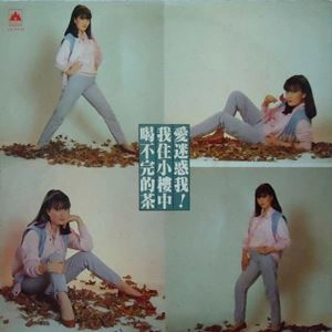 YIN SHIA / 銀霞 / 愛迷惑我 / LOVE CONFUSES ME