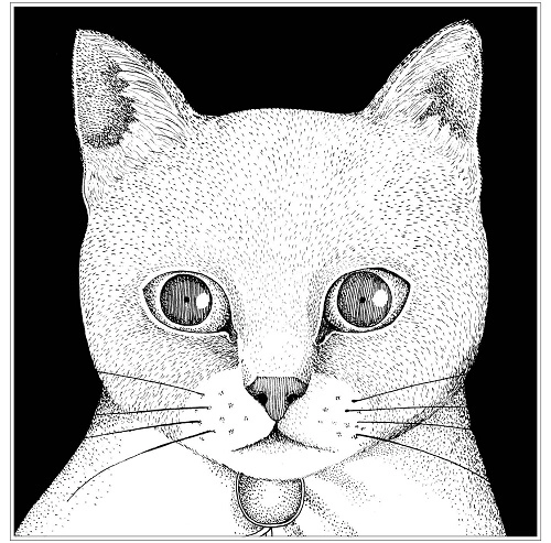 TENTENKO / テンテンコ / ALL YOU NEED IS CAT ~猫こそはすべて