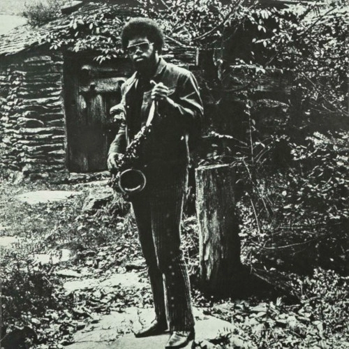 JOE MCPHEE / ジョー・マクフィー / Nation Time(LP)