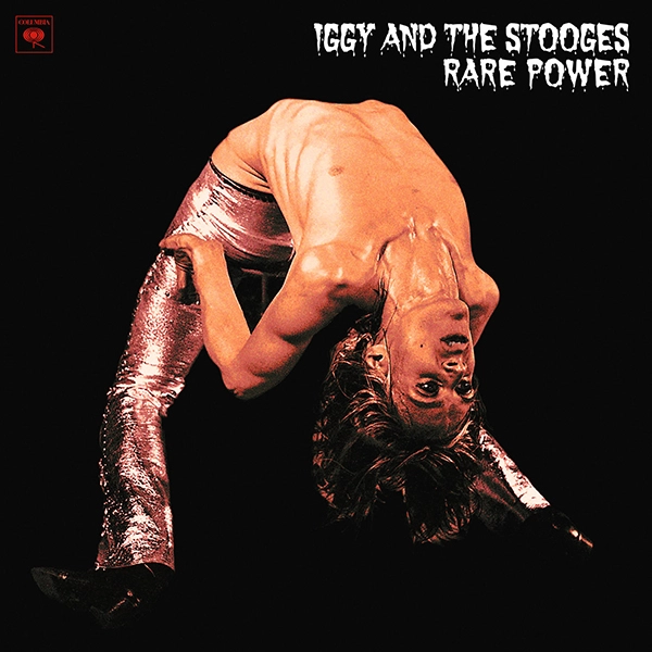 IGGY POP / STOOGES (IGGY & THE STOOGES) / イギー・ポップ / イギー&ザ・ストゥージズ / RARE POWER [LP]