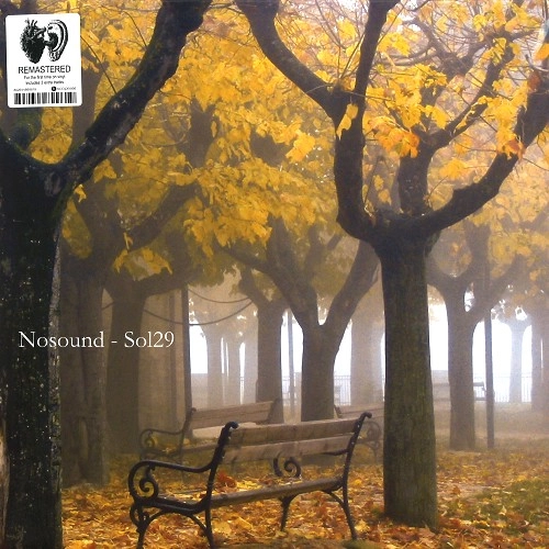 NOSOUND / ノーサウンド / SOL29: 180G LIMITED VINYL