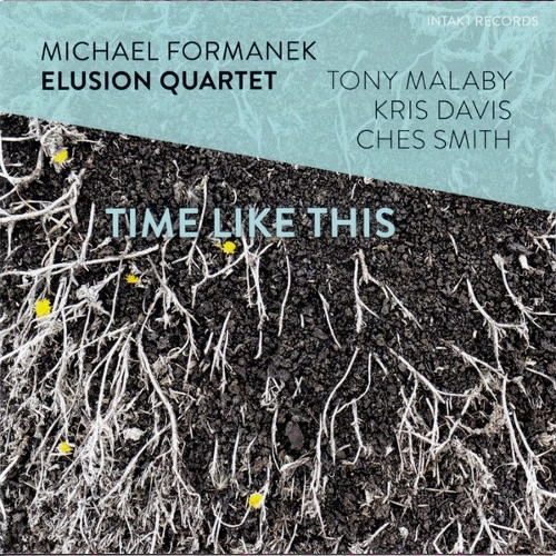 MICHAEL FORMANEK / マイケル・フォーマネク / TIME LIKE THIS