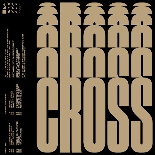 KEZ YM / CROSS SECTION (2LP)