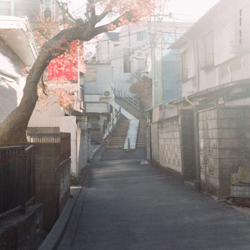 酒井尚子 (Naoko Sakai) / Light