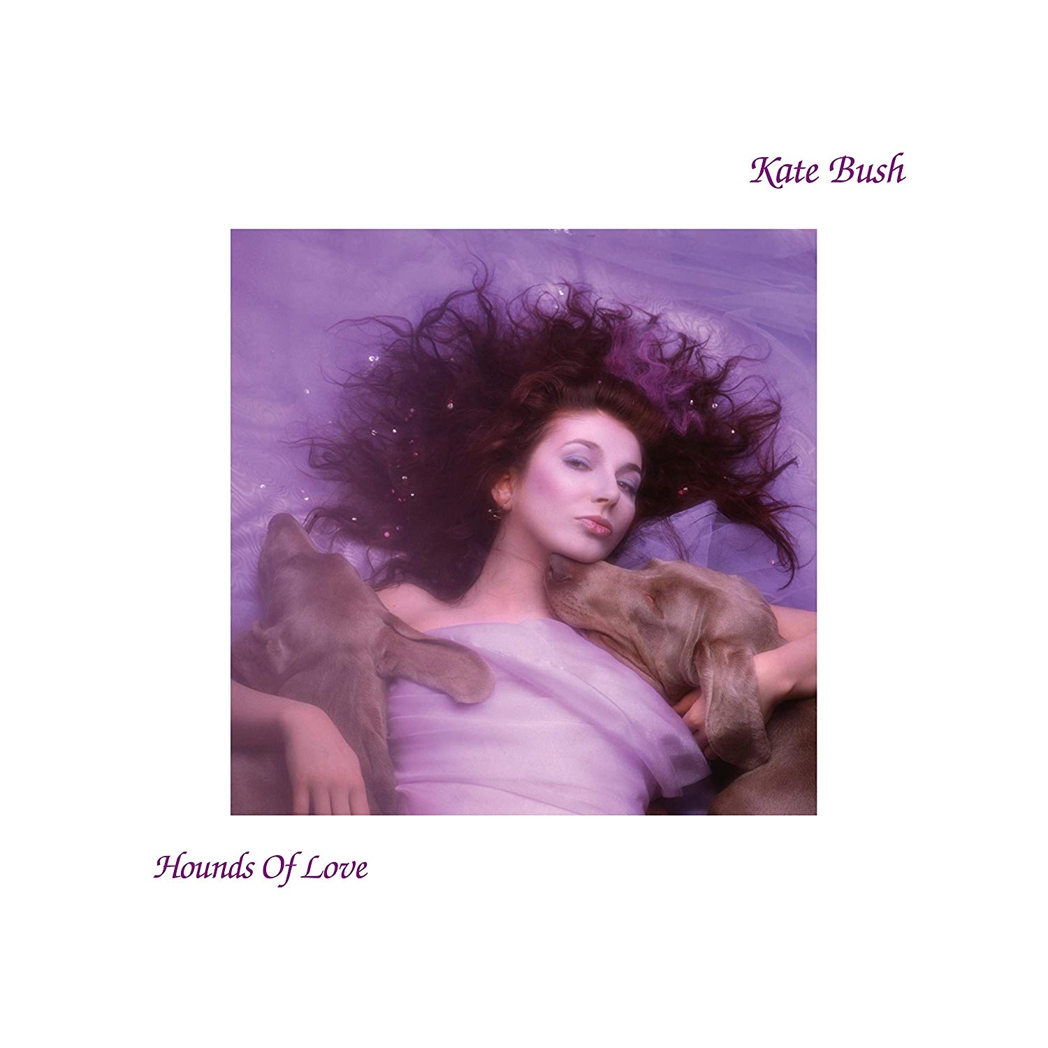 KATE BUSH / ケイト・ブッシュ / HOUNDS OF LOVE (2018 REMASTER) [180GRAM VINYL]