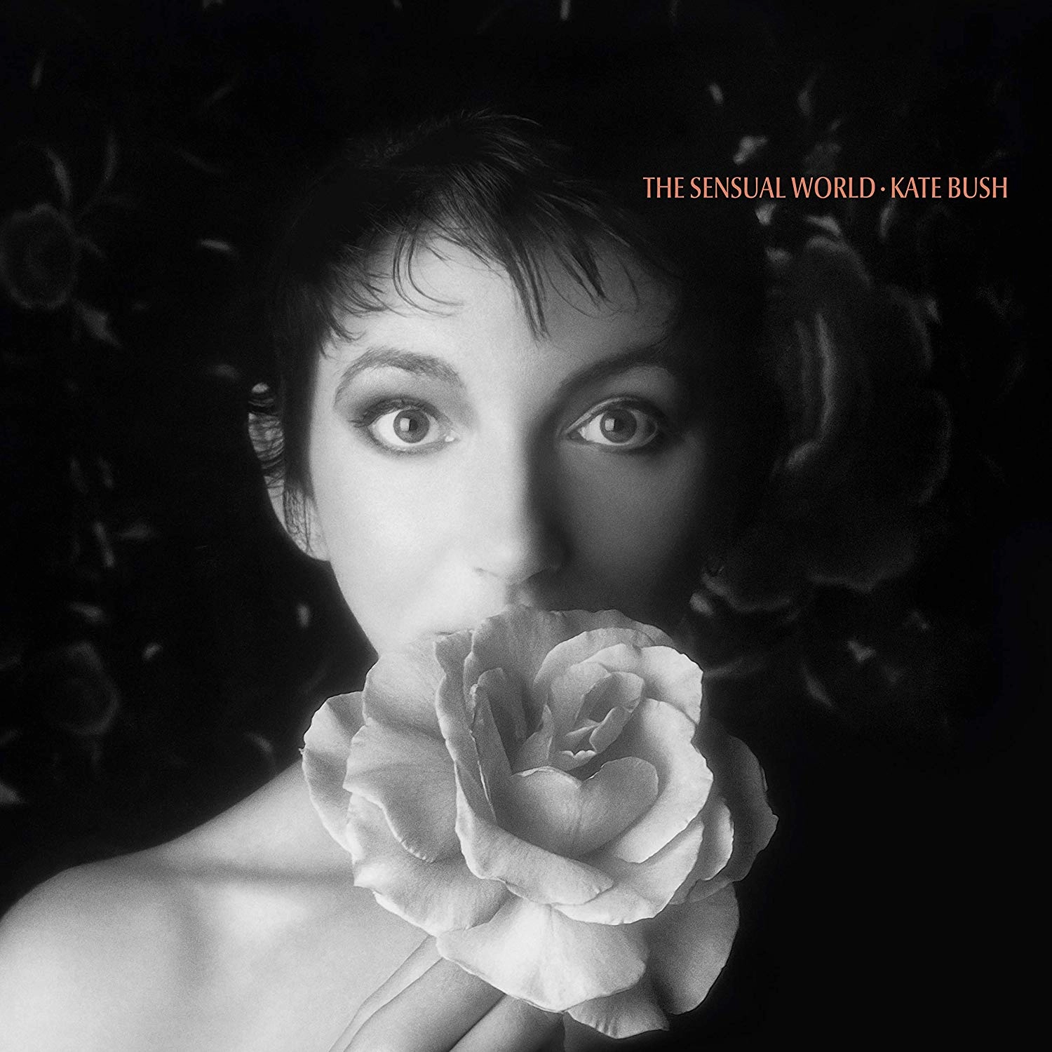 KATE BUSH / ケイト・ブッシュ / THE SENSUAL WORLD (2018 REMASTER)