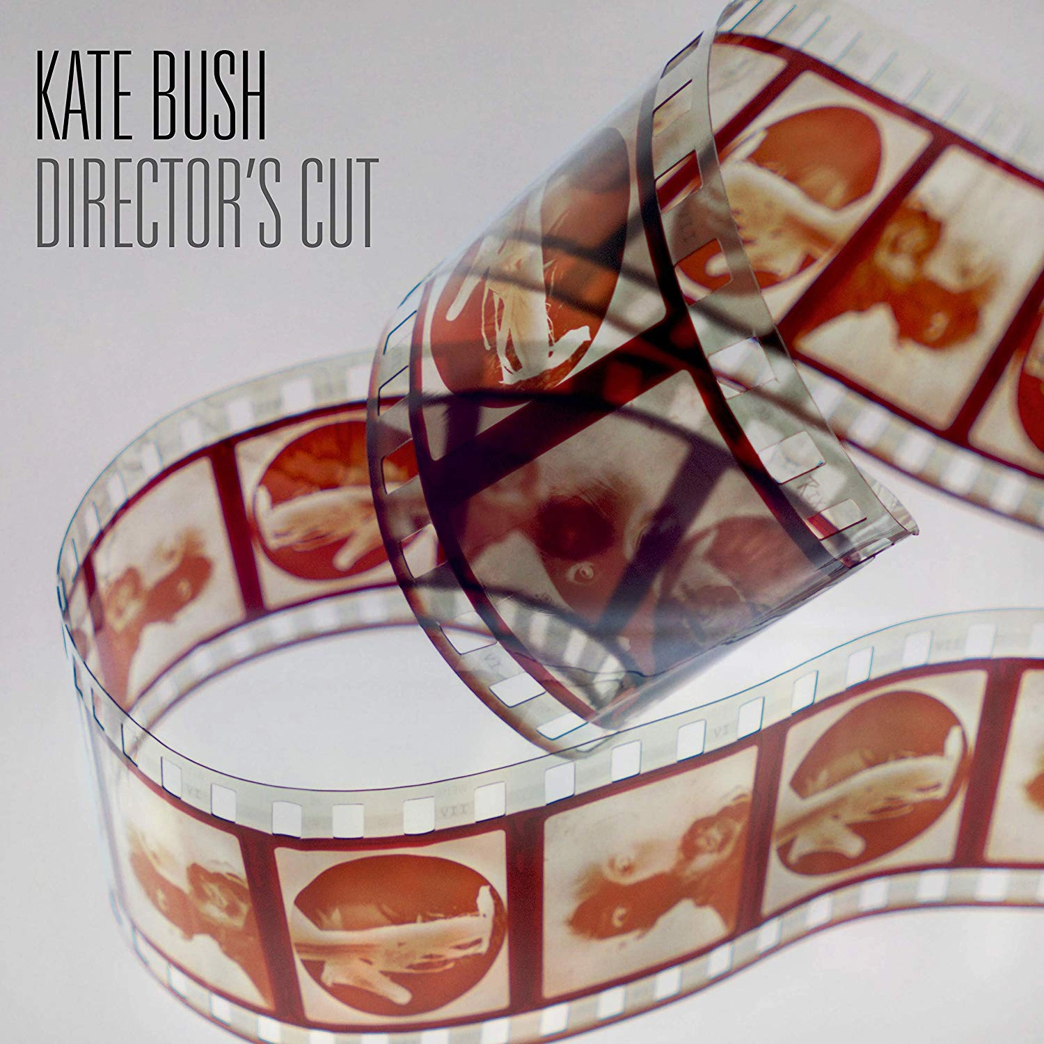 KATE BUSH / ケイト・ブッシュ / DIRECTOR'S CUT (2018 REMASTER)