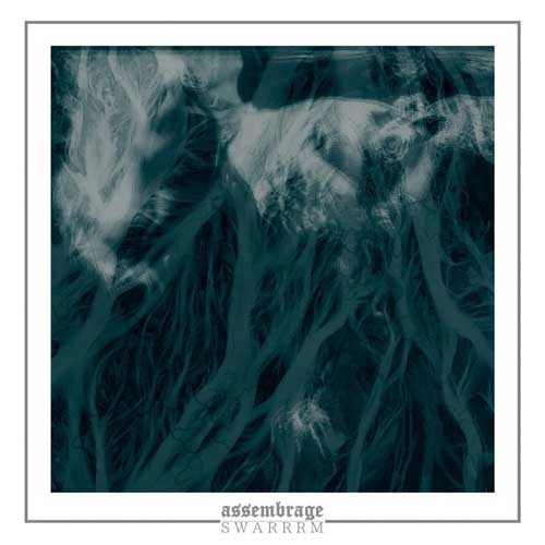 assembrage / SWARRRM / Split