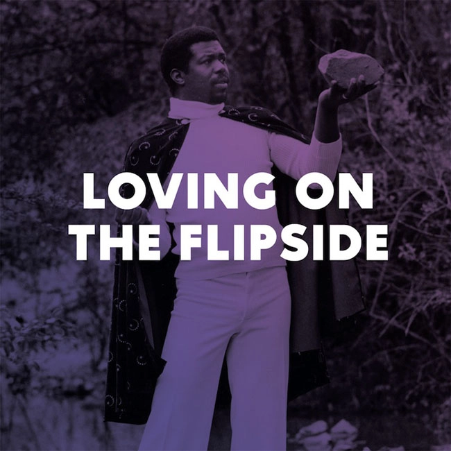 V.A. (LOVING ON THE FLIP SIDE) / LOVING ON THE FLIP SIDE - SWEET FUNK AND BEAT HEAVY BALLADS 1969-1977
