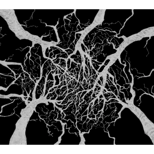 MIKE ROELOFS / ROOT OF THE MATTER