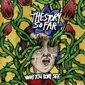 STORY SO FAR / WHAT YOU DON'T SEE