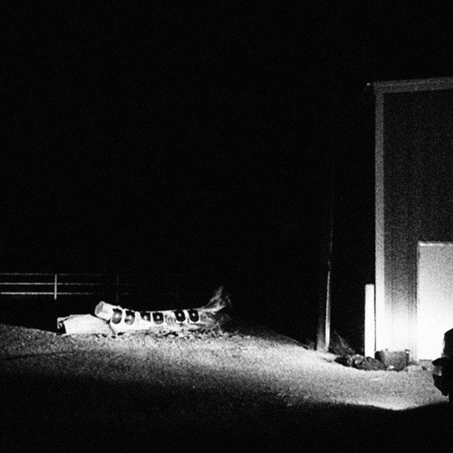 CLOUD NOTHINGS / クラウド・ナッシングス / LAST BUILDING BURNING (LP/CLEAR VINYL/FOIL JACKET/INDIE RETAIL EXCLUSIVE)