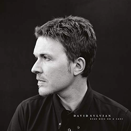DAVID SYLVIAN / デヴィッド・シルヴィアン / DEAD BEES ON A CAKE (2LP/180G)