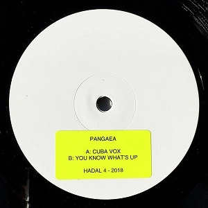 PANGAEA / パンゲア (Hessle Audio) / CUBA VOX (UK)
