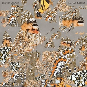 DOLPHIN MIDWIVES / ドルフィン・ミッドワイヴス / LIMINAL GARDEN