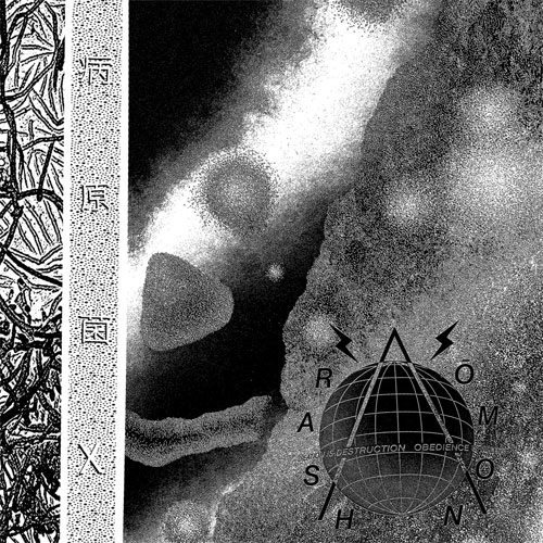 RASHOMON / PATHOGEN X (LP)