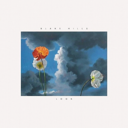 BLAKE MILLS / LOOK (LP)