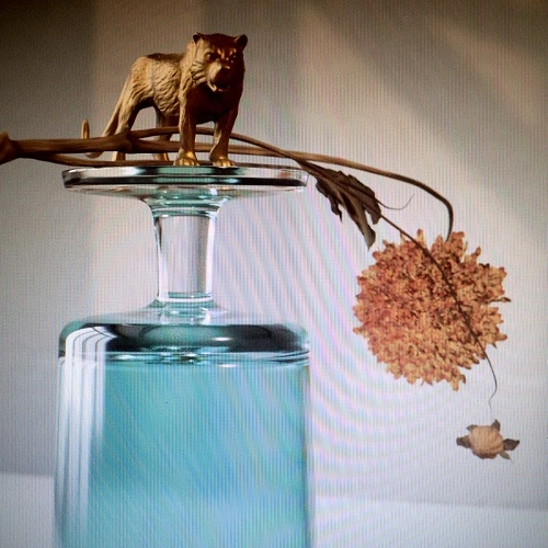 BEIRUT / ベイルート / GALLIPOLI (LP)