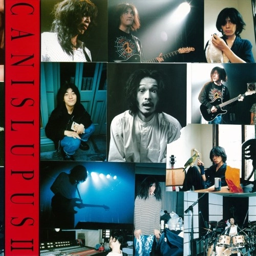 CANIS LUPUS / Ⅱ