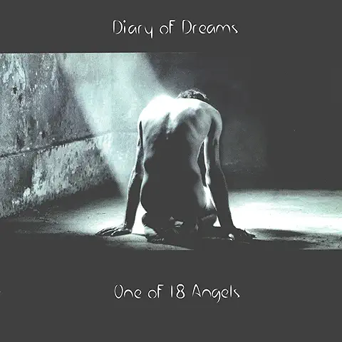 DIARY OF DREAMS / ONE OF 18 ANGELS