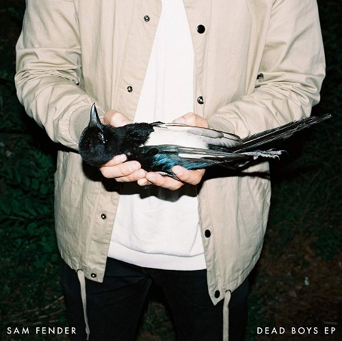 SAM FENDER / サム・フェンダー / DEAD BOYS (12"/180G) / DEAD BOYS