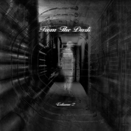 V.A. / オムニバス / FROM THE DARK VOLUME 2