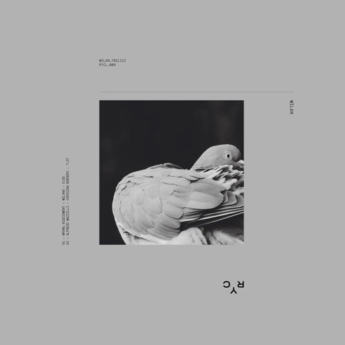 WRONG ASSESSMENT / ALFREDO MAZZILLI / NEWA / SKYRA / MILAN_TBILISI