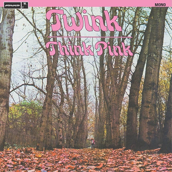TWINK / トゥインク / THINK PINK (MONO EDITION)