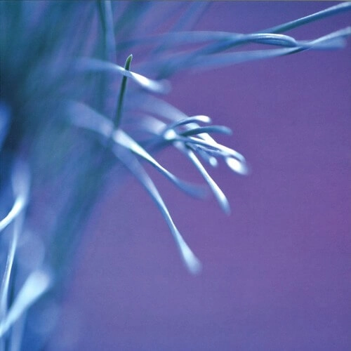 NESS (TECHNO) / MOVING THROUGH ILLUSIONS