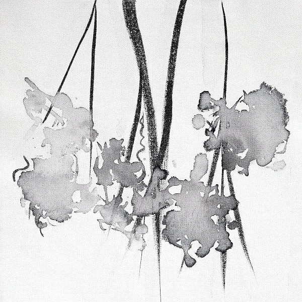 CORY JAMES / EXTENSIONS OF LIFE EP