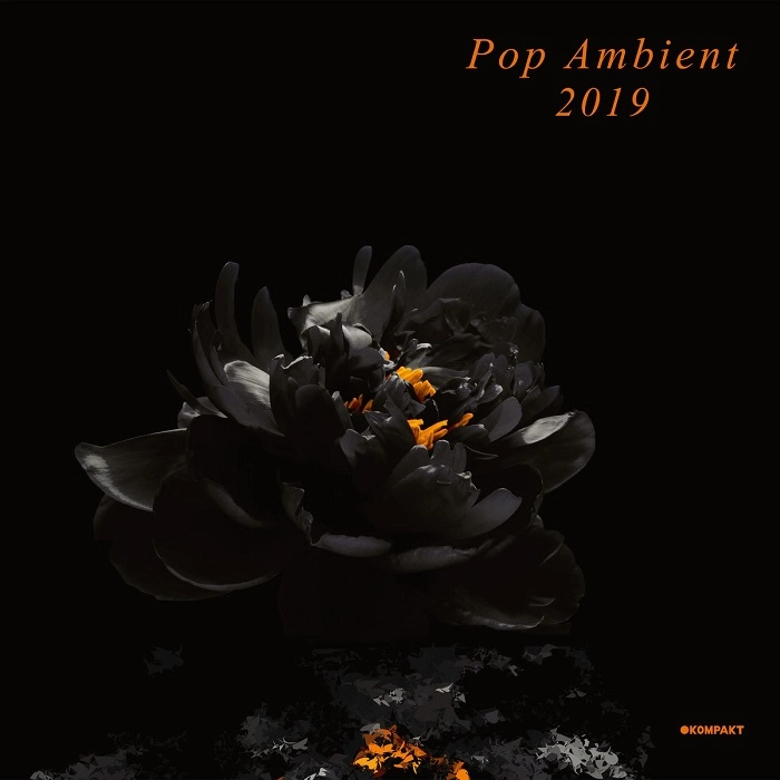 V.A.(POP AMBIENT) / POP AMBIENT 2019