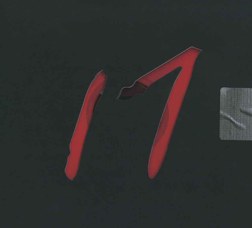 XXXTENTACION / 17