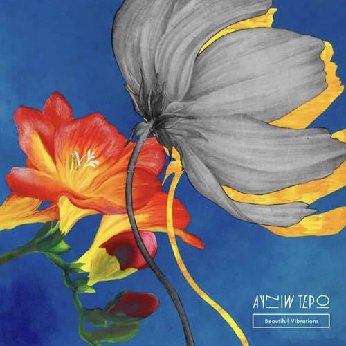 AYNIW TEPO / アイニウ テポ / Beautiful Vibrations
