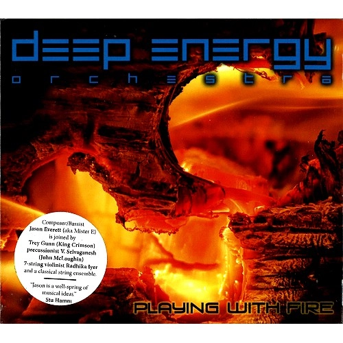 DEEP ENERGY ORCHESTRA / PLAYING WITH FIRE