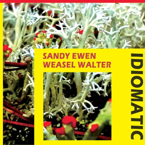 SANDY EWEN / IDIOMATIC