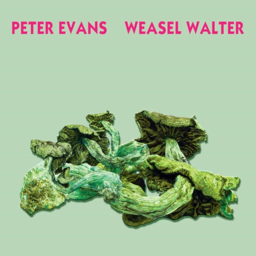 PETER EVANS / ピーター・エヴァンス / POISONOUS
